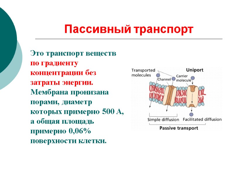 Пассивный транспорт     Это транспорт веществ по градиенту концентрации без затраты